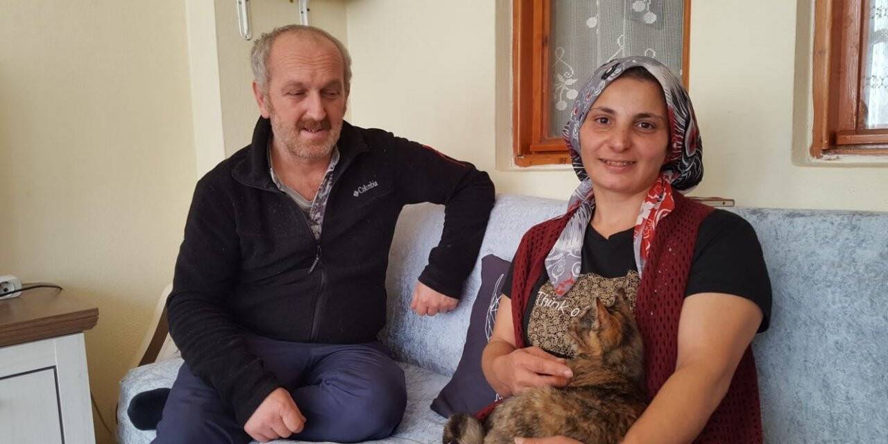 Yorganın içine giren yavru kediyi fark etmeyen sahibi çamaşır makinesine attı