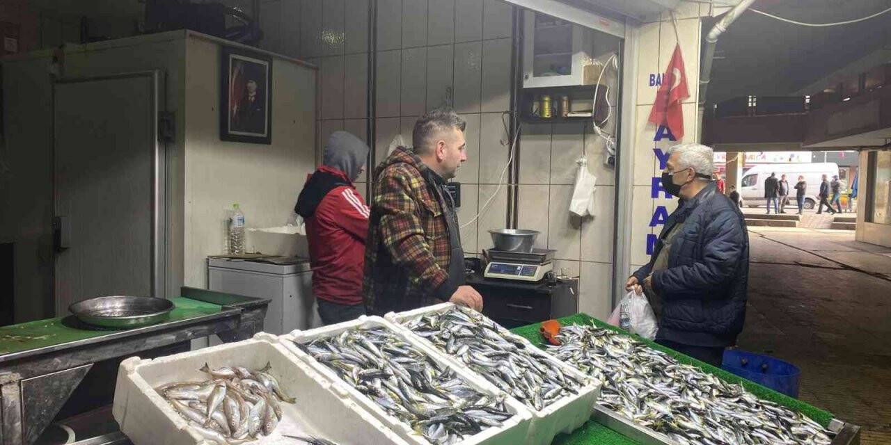 Hamsi ve palamudun yerini istavrit aldı, kilosu 25 liradan alıcı buldu