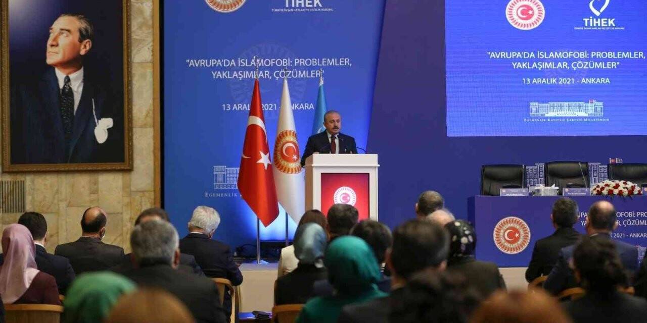 Avrupa’da İslamofobi: “Problemler, Yaklaşımlar, Çözümler” Paneli