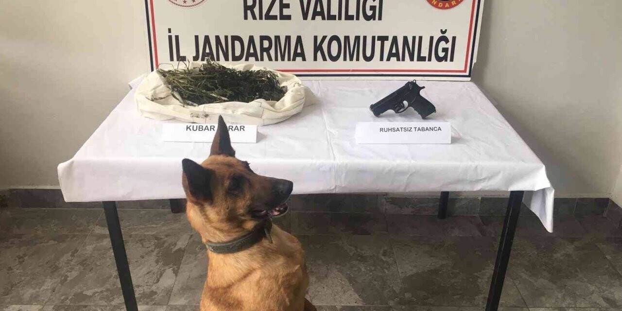 Rize’de uyuşturucu operasyonu: 2 gözaltı