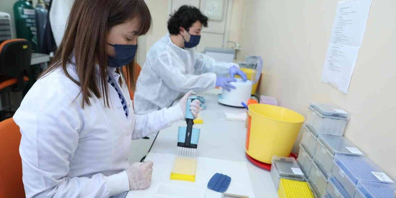 Varyant taramaları referans laboratuvarlarda devam ediyor