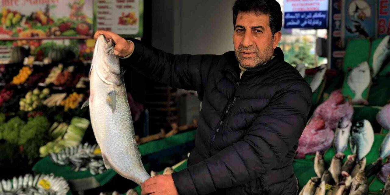 Tezgahlarda kofana bolluğu yaşanıyor