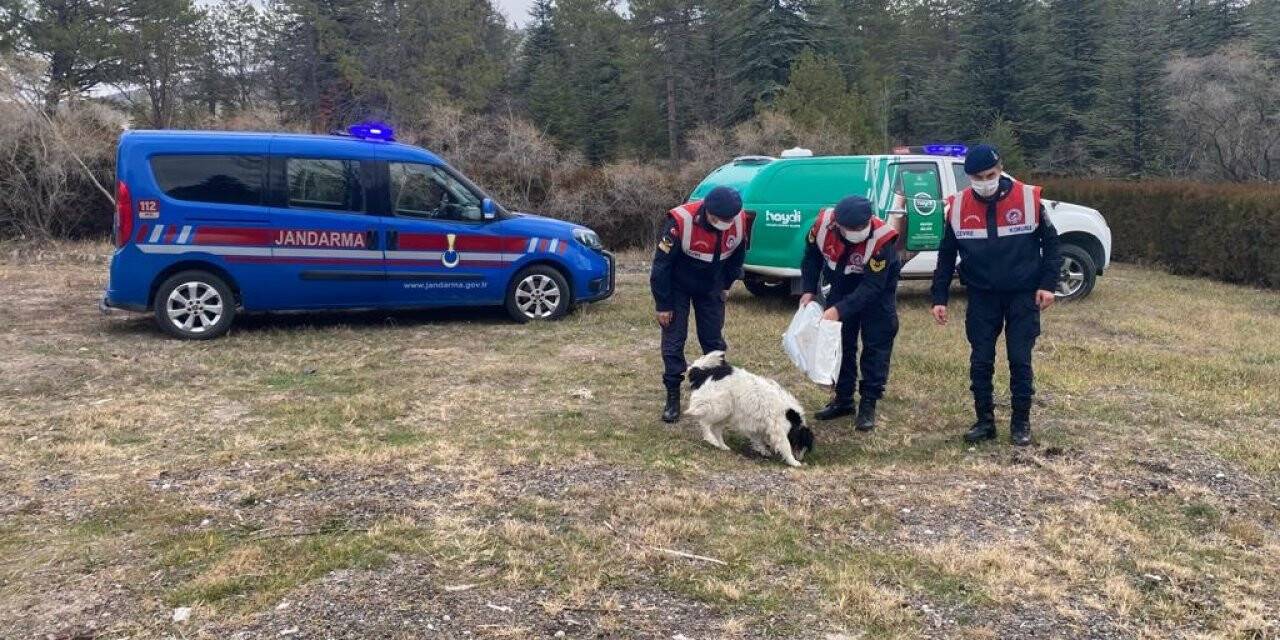 Jandarma ekiplerinden örnek davranış