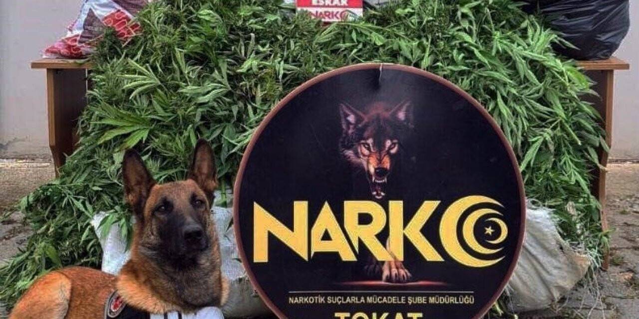 Konya dahil 6 ilde uyuşturucu operasyonu: 13 tutuklama