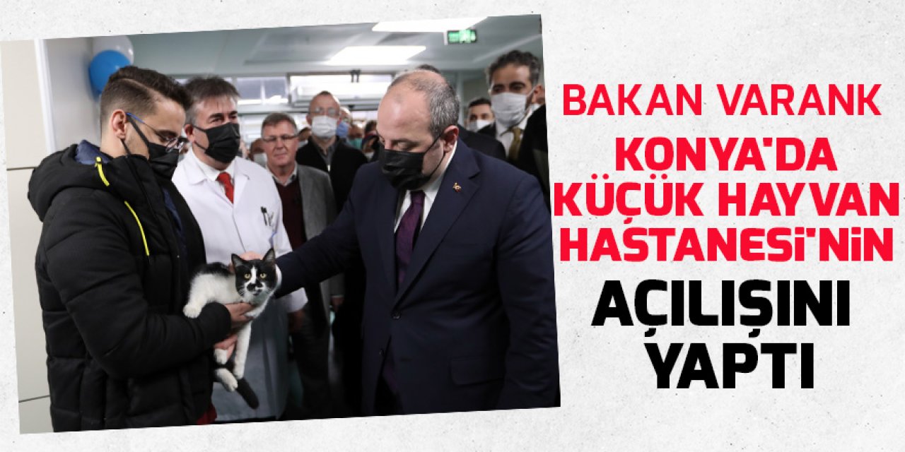 Sanayi ve Teknoloji Bakanı Varank, Konya'da Küçük Hayvan Hastanesi'nin açılışını yaptı