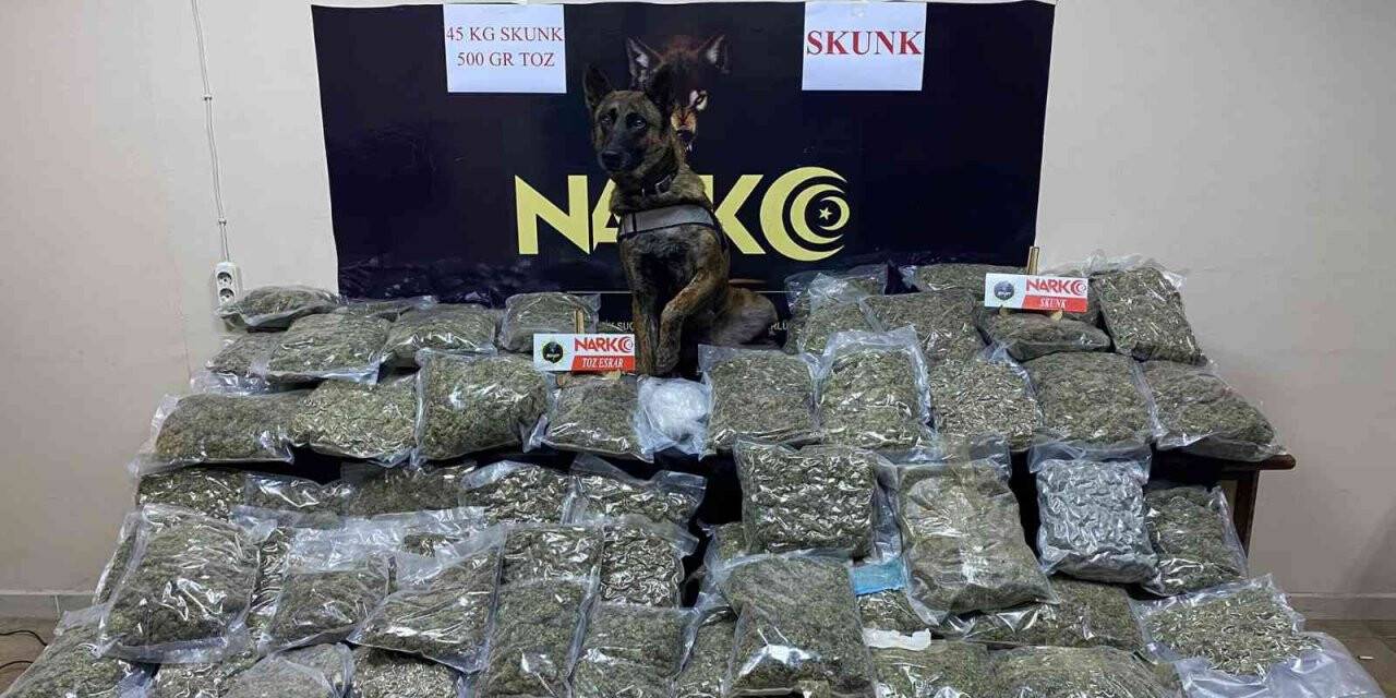 Batman polisinden operasyon: Araçtan 45.5 kilogram uyuşturucu çıktı