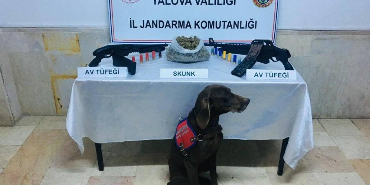 ’’Venüs’’ tespit etti, 847 gram uyuşturucu ele geçirildi