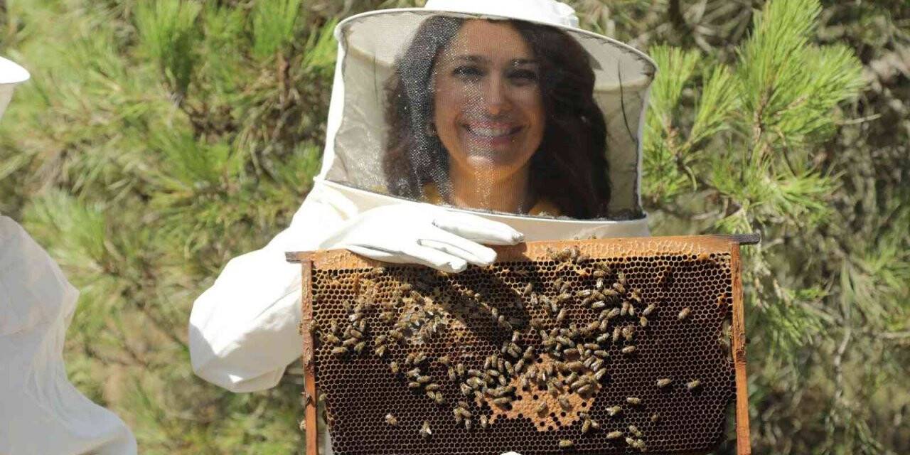 Arıcılara teorik ve uygulamalı arıcılık ile bal arısı zehri üretimi eğitimi