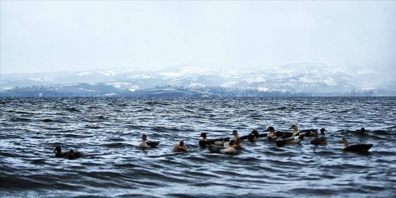 Sapanca Gölü'nde su seviyesi koruma çalışmalarıyla 1,19 metre arttı
