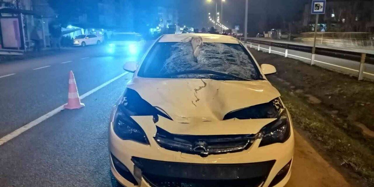Ordu’da otomobilin çarptığı yaya hayatını kaybetti