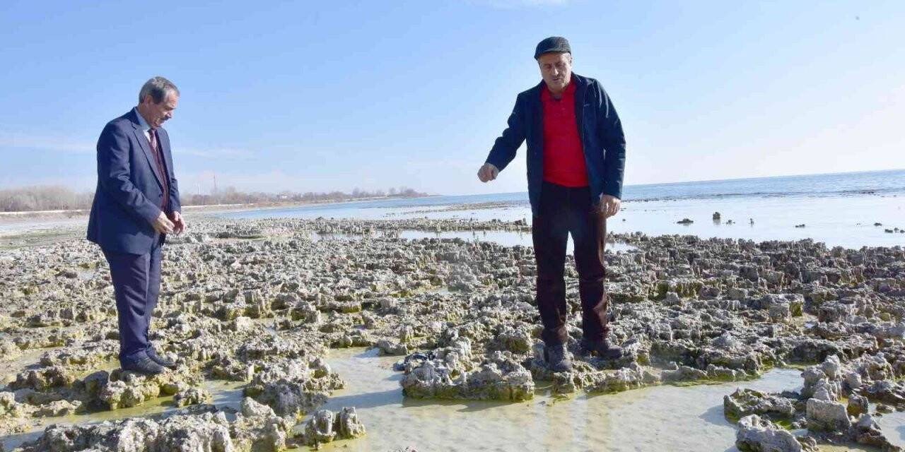 Van Gölü’nün çekilmesiyle yeni mikrobiyalitler gün yüzüne çıktı