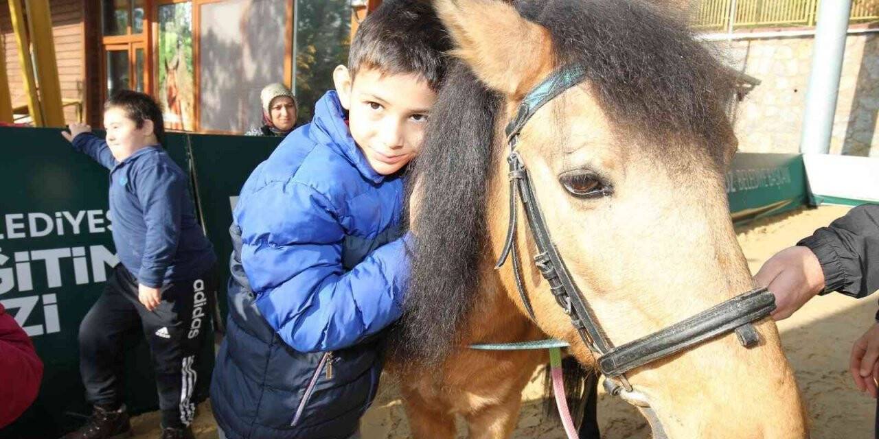 Atlı terapi eğitimleri Gebze’ye ödül getirdi