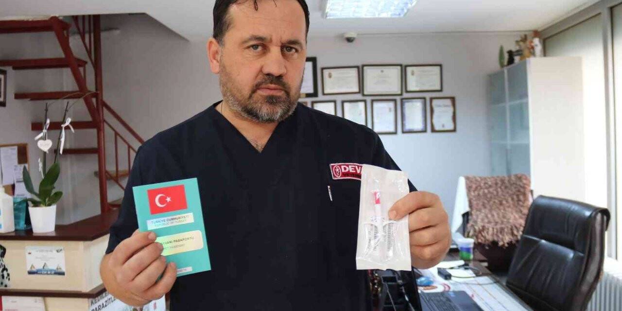 Bu köpek ırklarına sahip olanlar dikkat: “Cezası 11 bin TL”