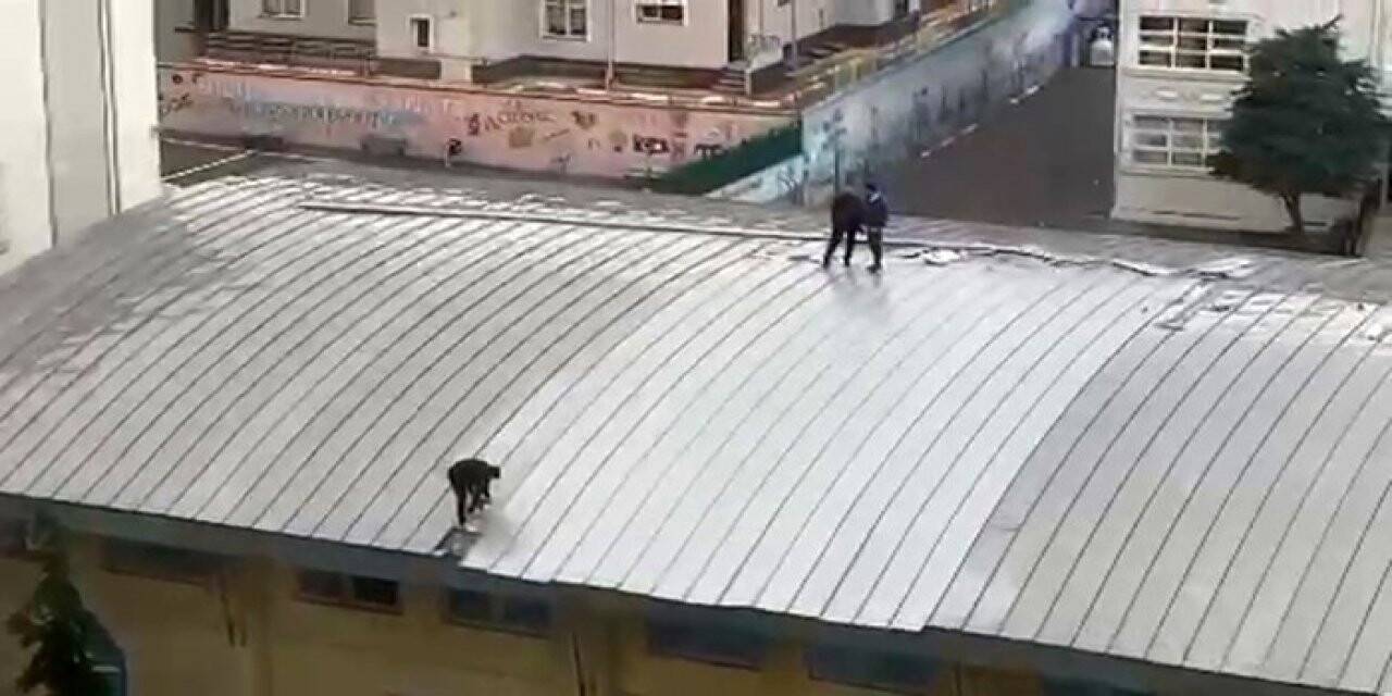 Bağcılar’da yürekleri ağza getiren çatı tadilatı
