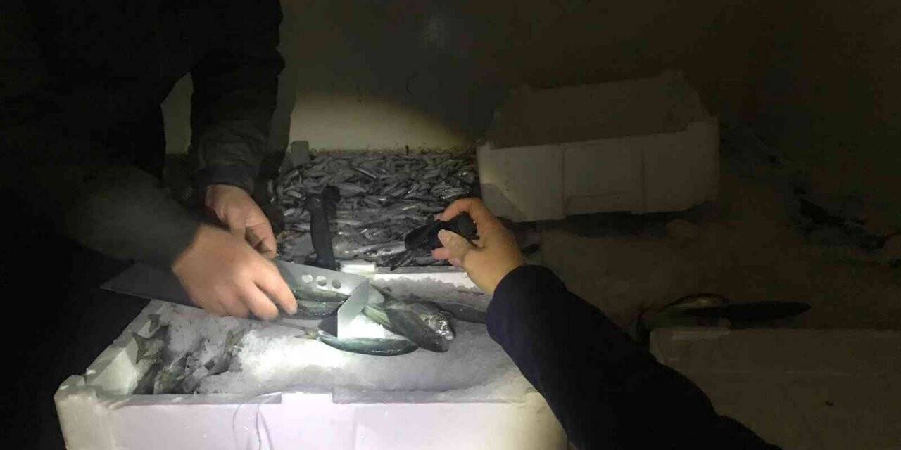 Gürpınar Su ürünleri Hali’nde 2 buçuk ton balığa el konuldu