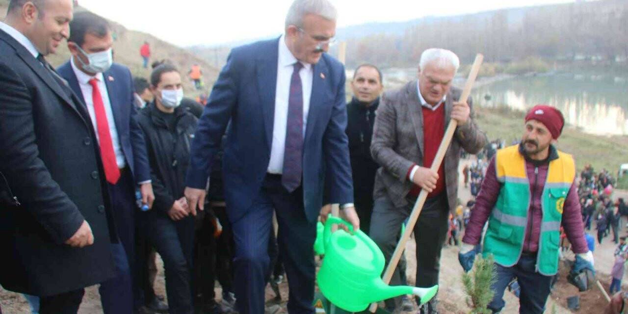 Diyarbakır Fetih 1382 Hatıra Ormanı’nda 10 bin 918 ağaç dikildi