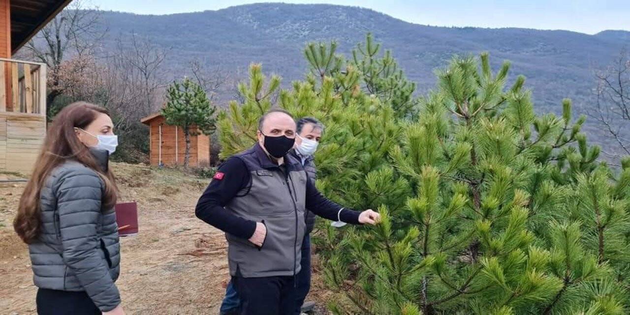 Bayraktaroğlu "Orman köylüsünün gönlüne dokunan işler yapıyoruz"