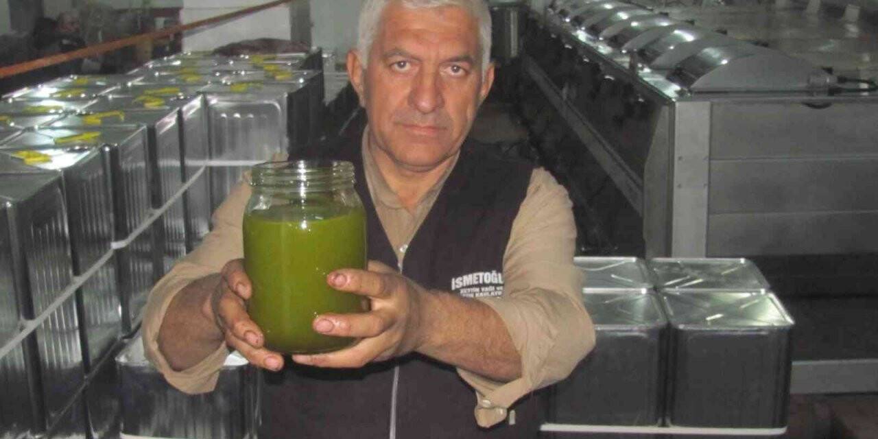 Güneydoğu’nun tahıl ambarı zeytinyağı üretiminde de iddialı