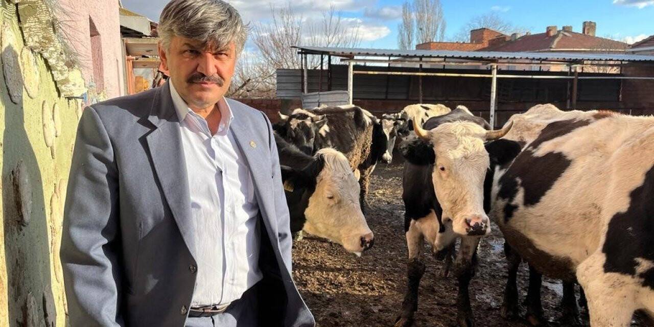 Yem fiyatlarına gelen zamlar, süt üreticisinin hevesini kursağında bıraktı