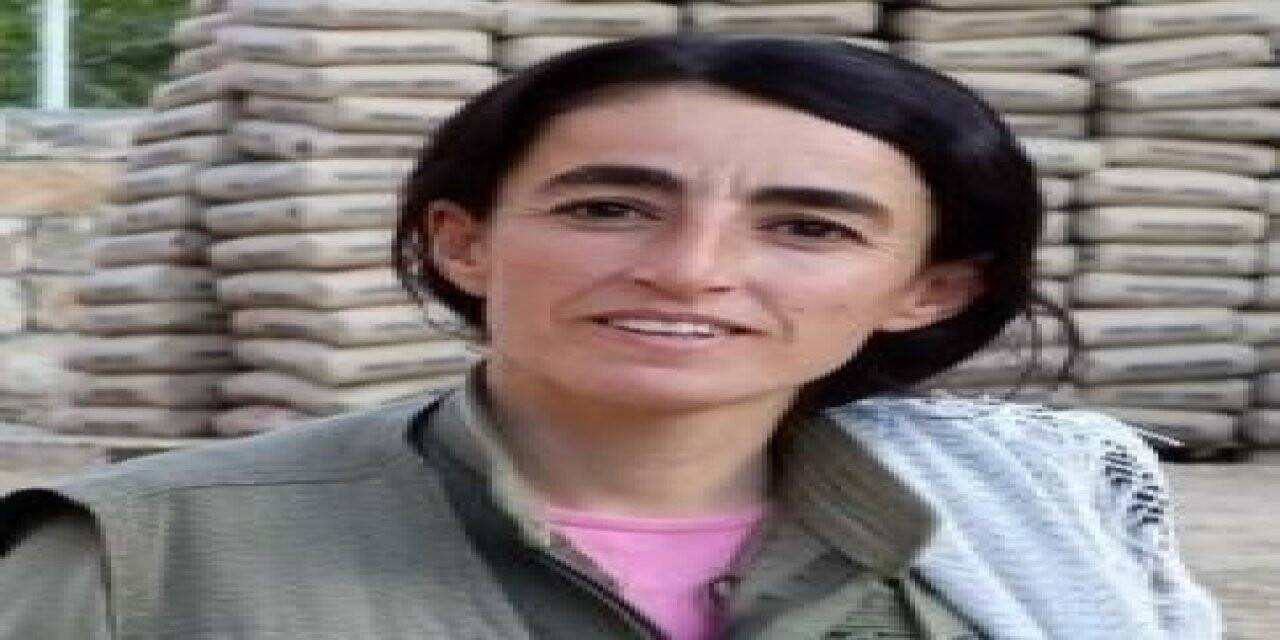 Yeşil kategoride aranan terörist Mardin’de etkisiz hale getirildi