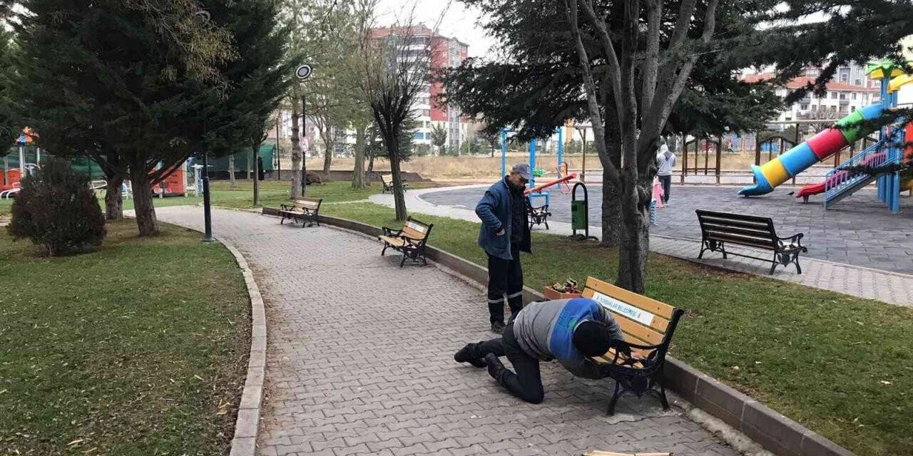 Pursaklar Belediyesi’nden parklara kış bakımı