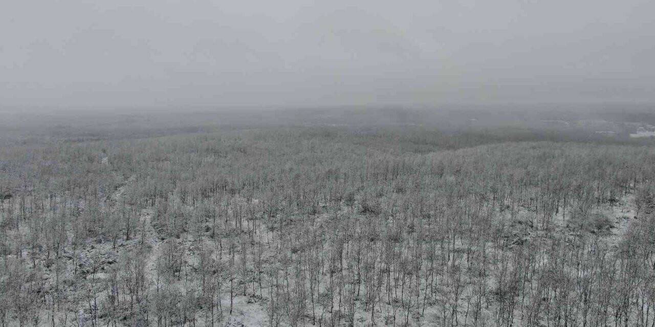 Çatalca’da yoğun kar yağışı