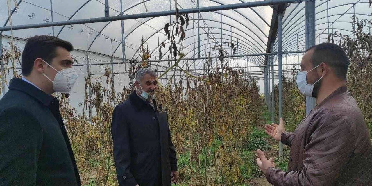 Çekerek Kaymakamı Güzel, genç girişimcileri destekliyor