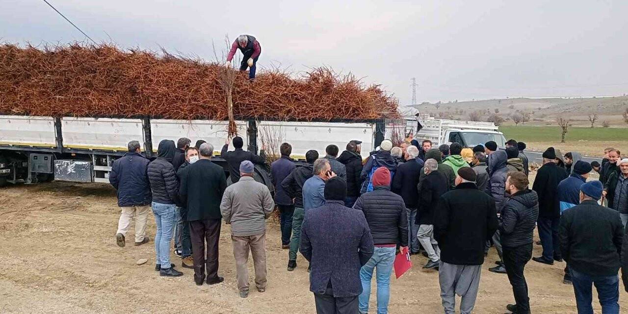 Dicle’de 111 çiftçiye 33 bin 880 adet badem, ceviz ve fıstık fidanı dağıtıldı