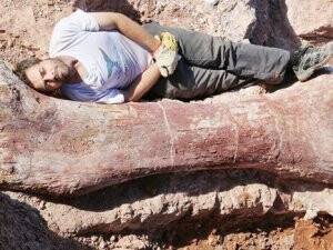 150 Kemikli Dev Dinozor