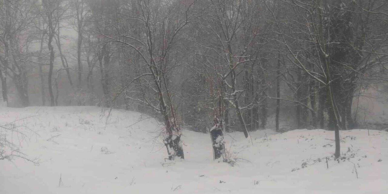 Manyas’a mevsimin ilk karı yağdı