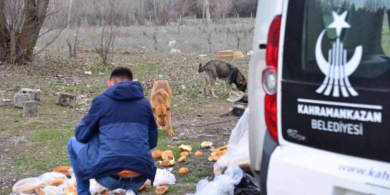 Başkan Oğuz: “Bu soğuk günlerde herkes kapısının önüne ya da parklara biraz yiyecek bırakabilir”