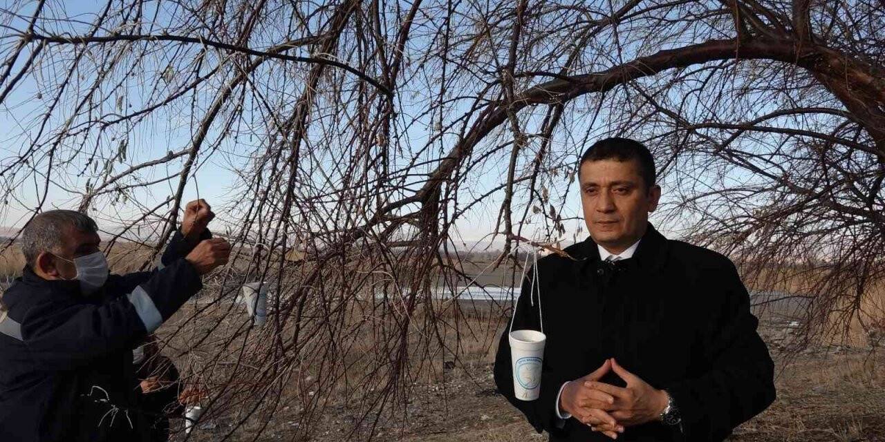 Erciş’te sokak ve yaban hayvanları için yem bırakıldı