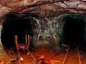 Uzmanlar şaşkın! Salgına dönüştü