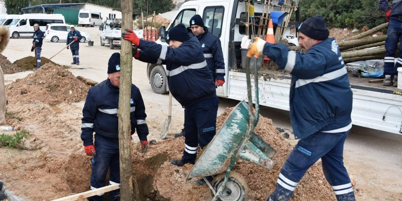 Yunusemre’de ağaçlandırma seferberliği devam ediyor