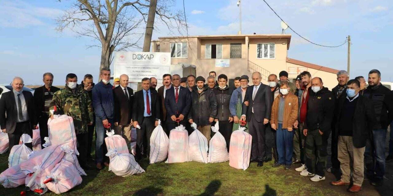 Samsun’da İsrail sazanı ile mücadele başladı