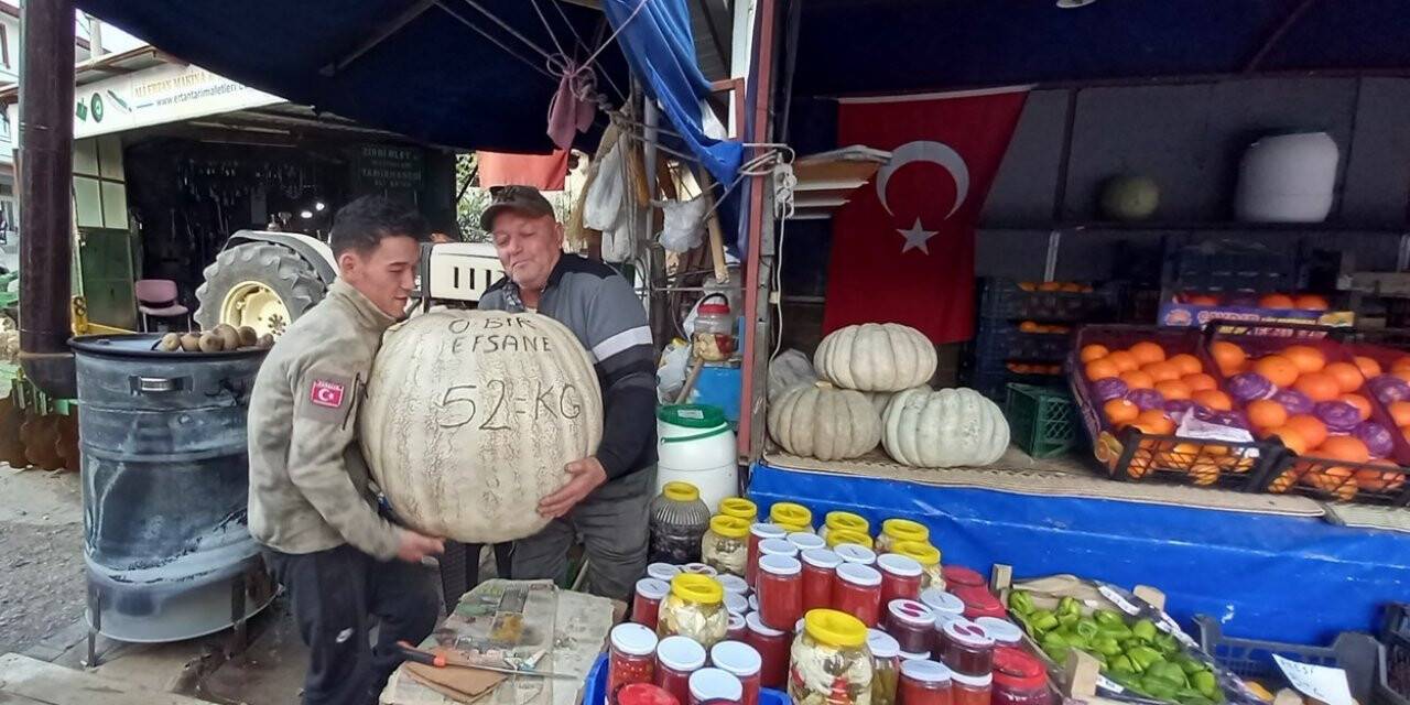 52 kiloluk dev kabak görenleri şaşırtıyor