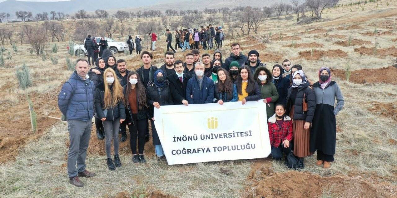 Üniversite öğrencileri fidan dikti