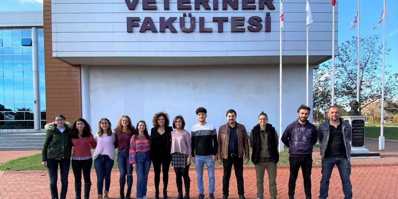 ADÜ Veteriner Fakültesi öğrencilerine TÜBİTAK’tan destek