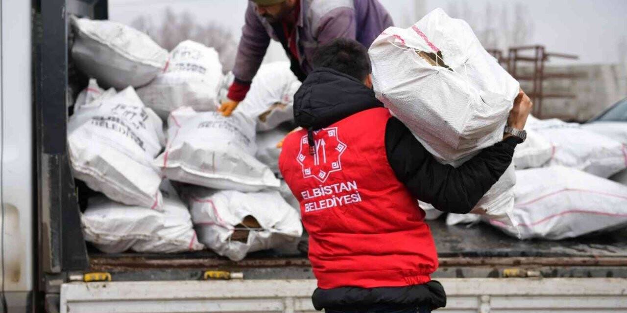 Budanan ağaçlar dar gelirlilerin evini ısıtıyor
