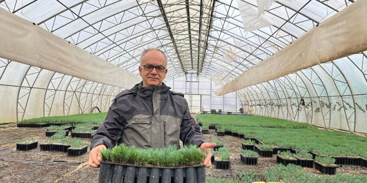 Türkiye’nin en büyük orman fidanlığından yavru vatana 50 bin fidan