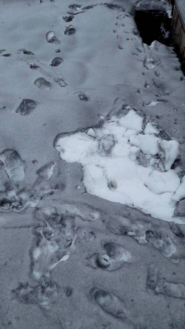 Ukrayna’ya siyah kar yağdı