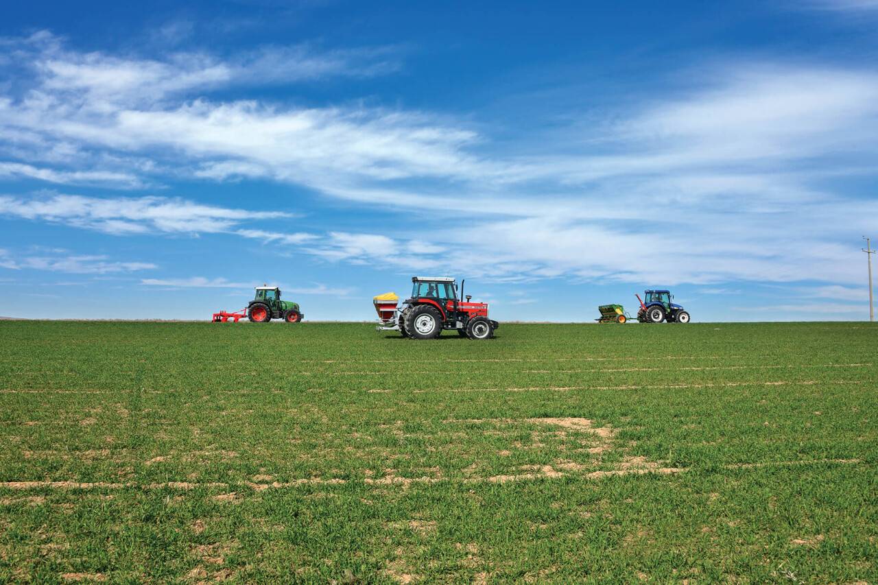 Tarımda yağmur sevinci