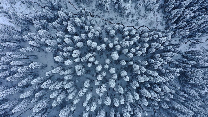 Kar yağışıyla beyaza bürünen Ilgaz Dağı havadan görüntülendi