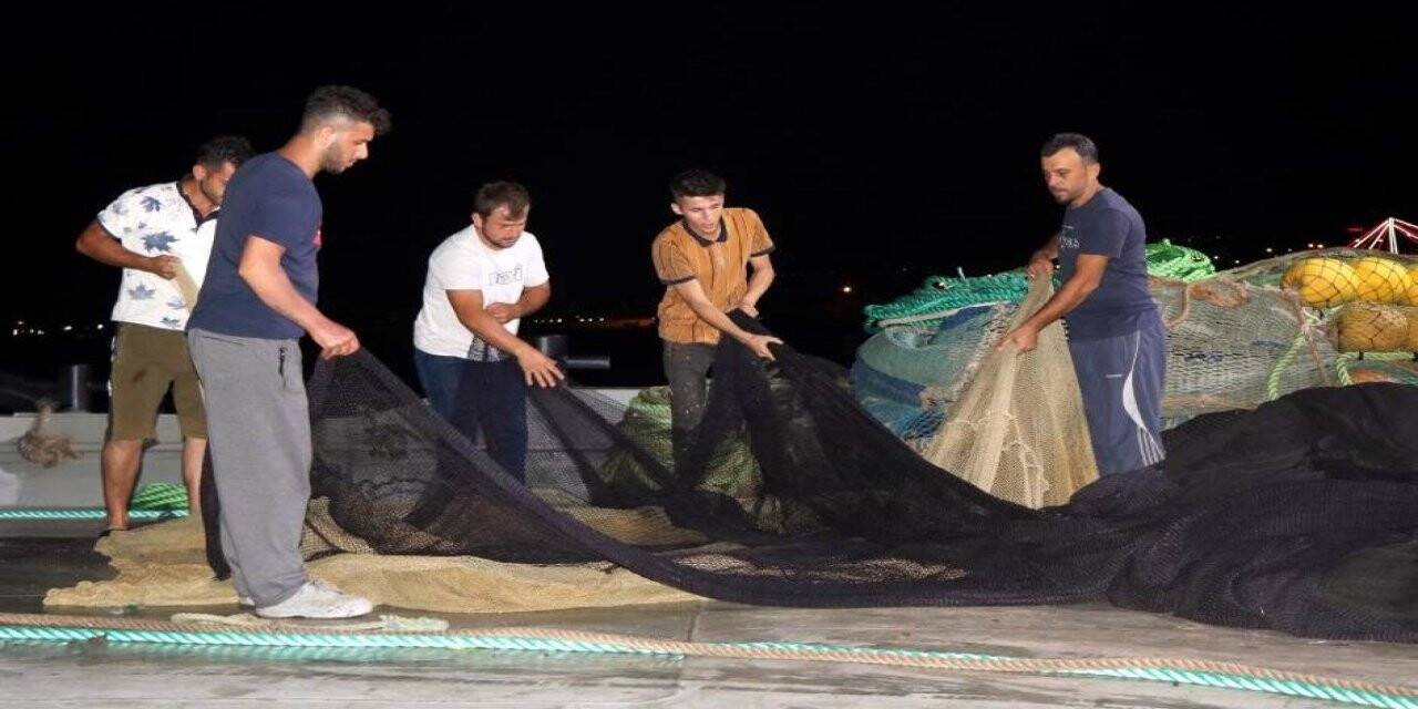 Hamsi bu sene erken göç etti