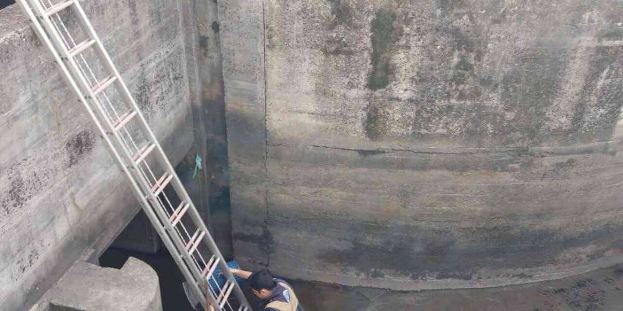 Regülatörde kedi operasyonu