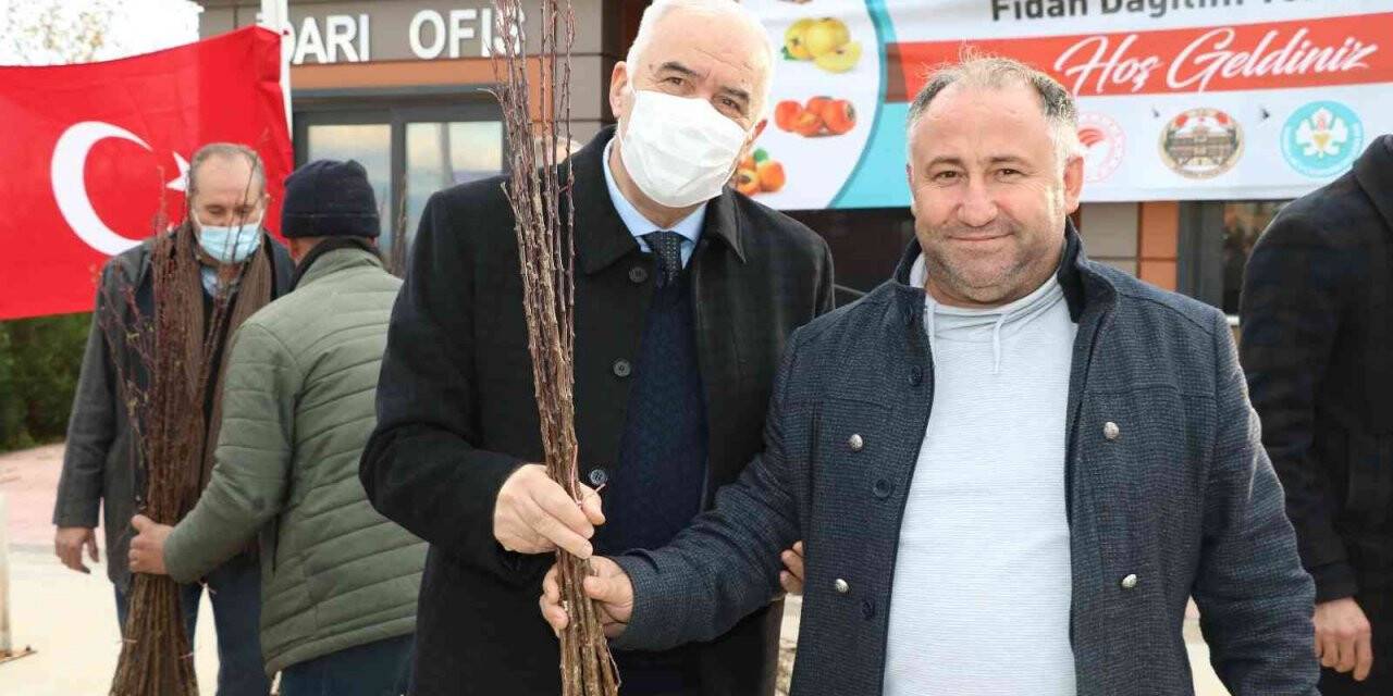 Şehzadeler’de üreticilere meyve fidanı dağıtıldı