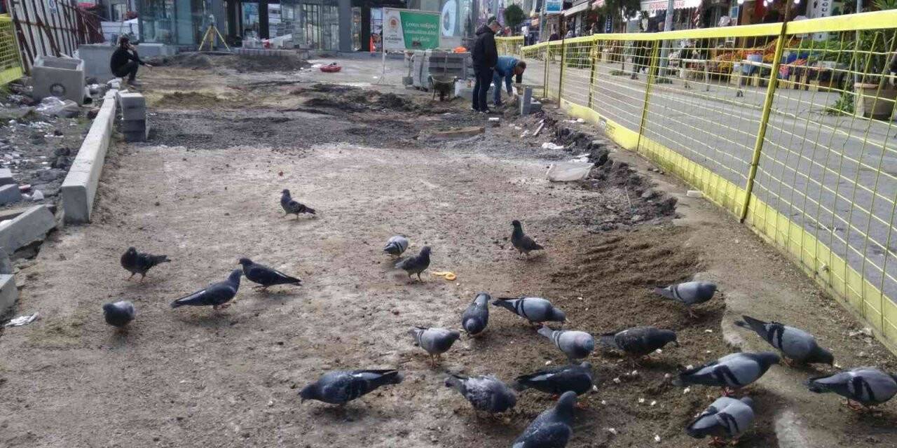 Subaşı’nın güvercinleri Hamidiye Çeşmesi’ni güzelleştirecek