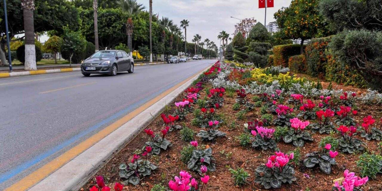 Mersin’in 4 bini yanı çiçeklerle renkleniyor