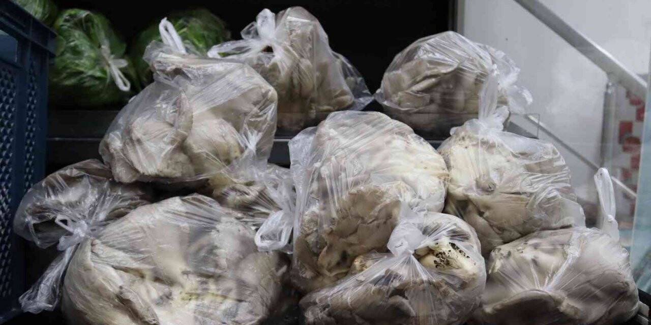 İzmit Belediyesi hasadı yapılan mantarları ihtiyaç sahibi ailelere ulaştırıyor