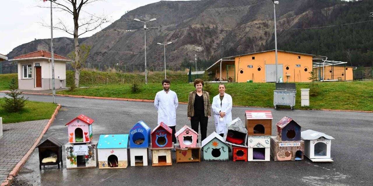 Minik eller sayesinde patili dostlar sıcak yuvalara kavuşacak